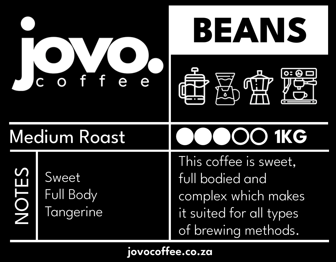 Jovo Medium Roast